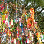 Today is Tanabata:)